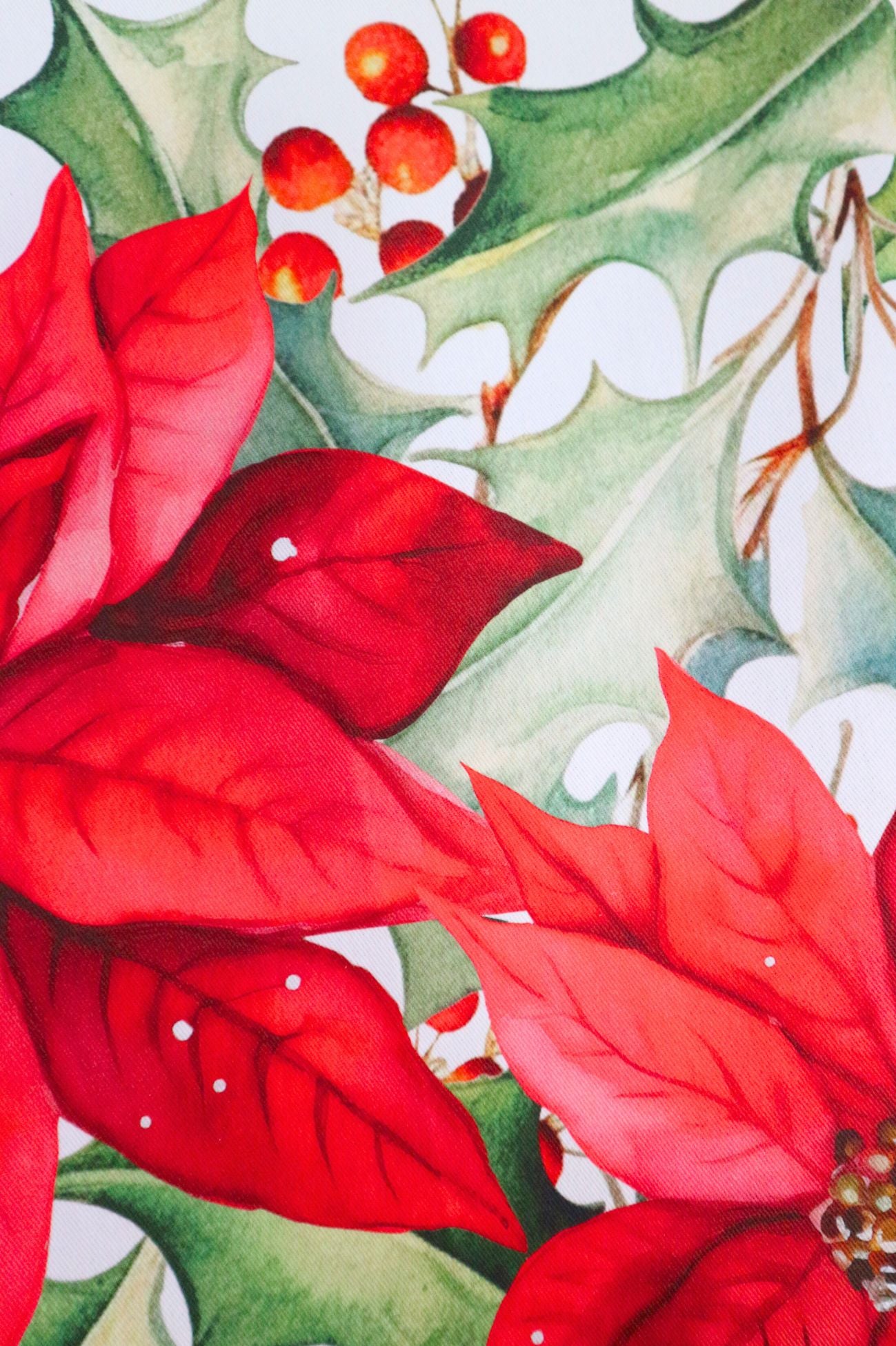 Red Christmas