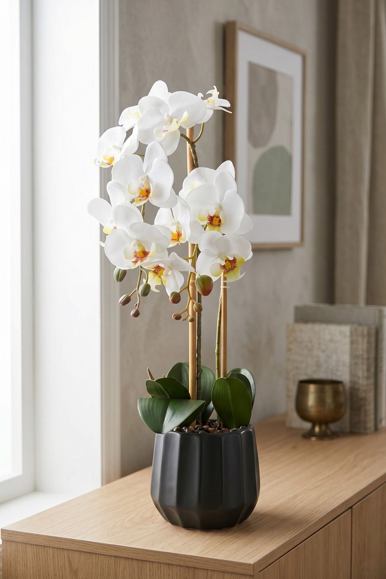 Flowers Orchidea