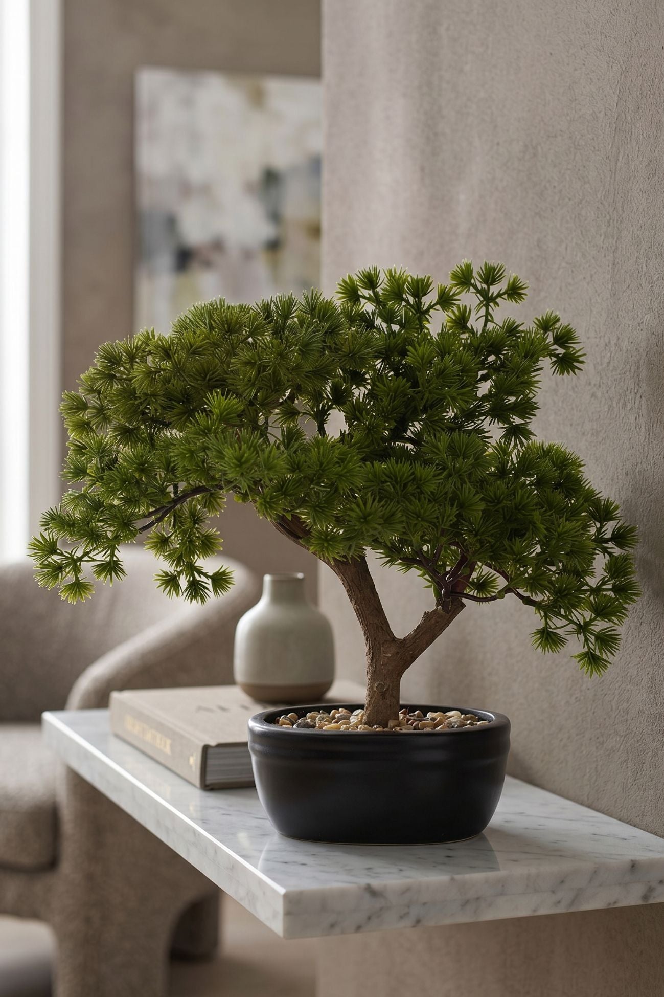Bonsai Pino