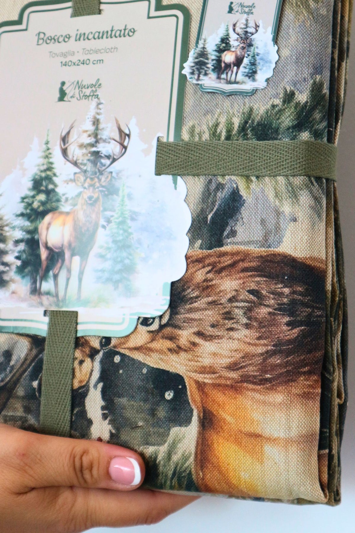 Enchanted Forest