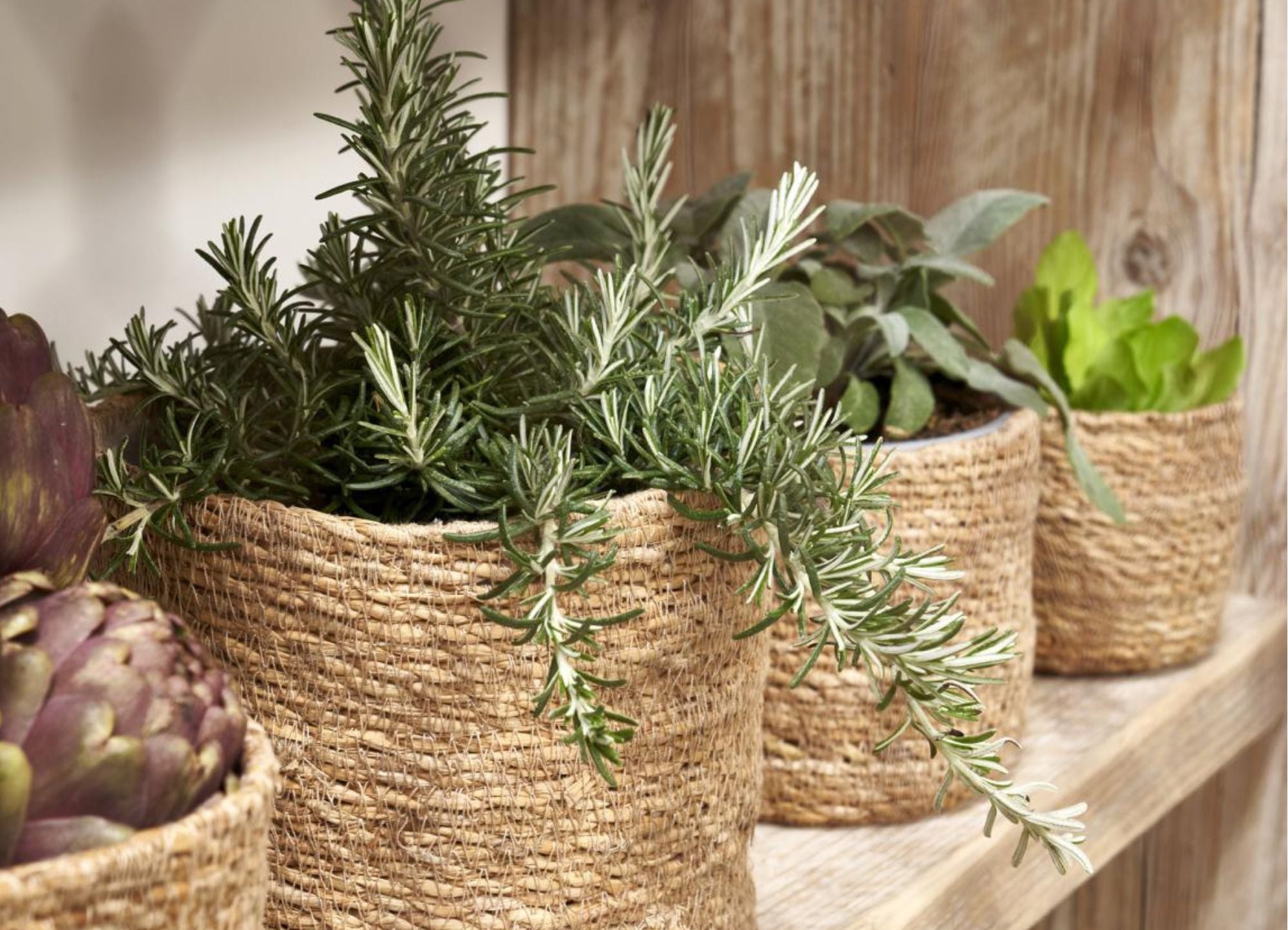 Luxe Lodge banner desktop