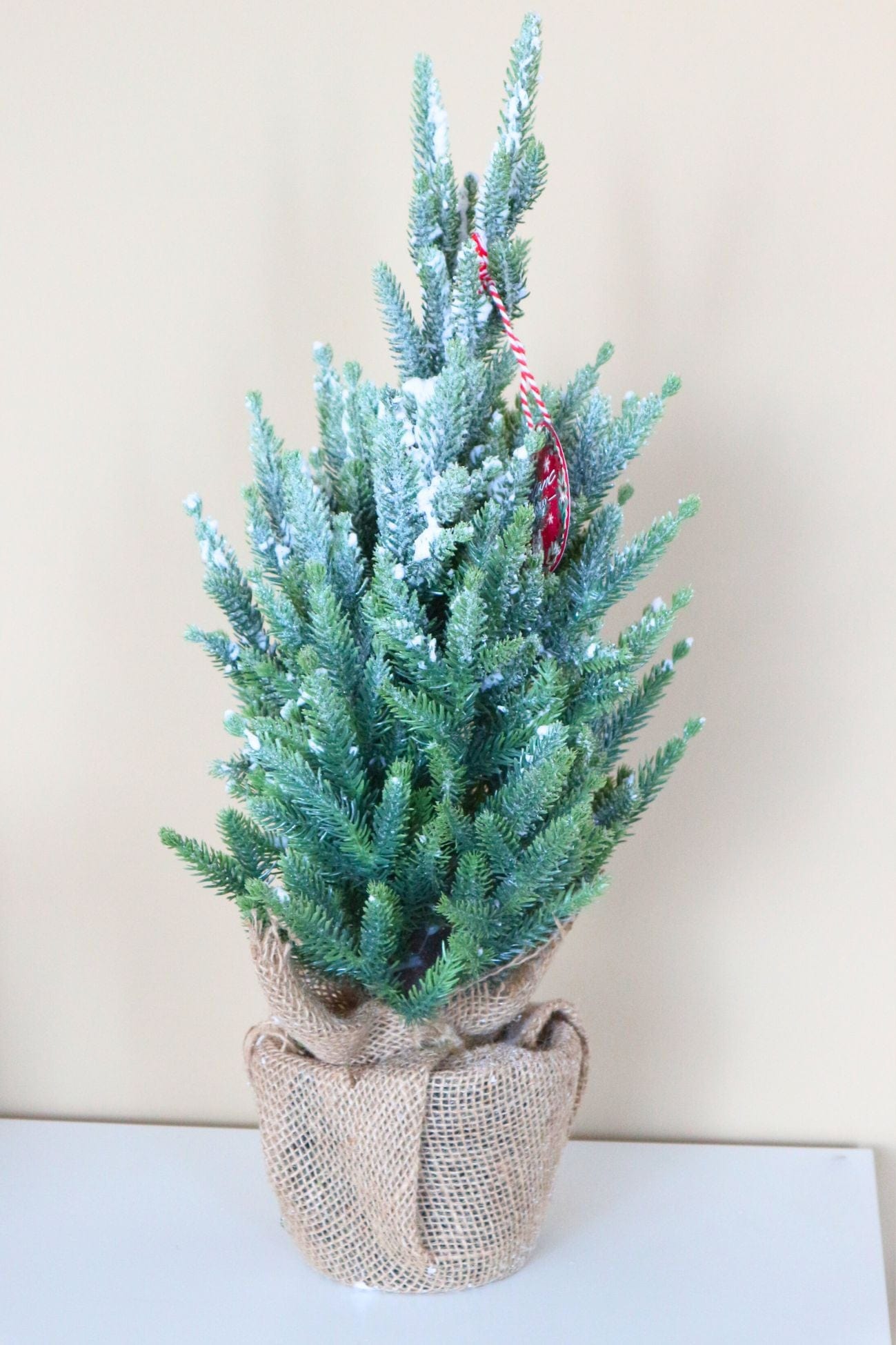 Blanc MariClo' Bosco Incantato Bosco Incantato - Abete artificiale natalizio piccolo | Blanc MariClo'