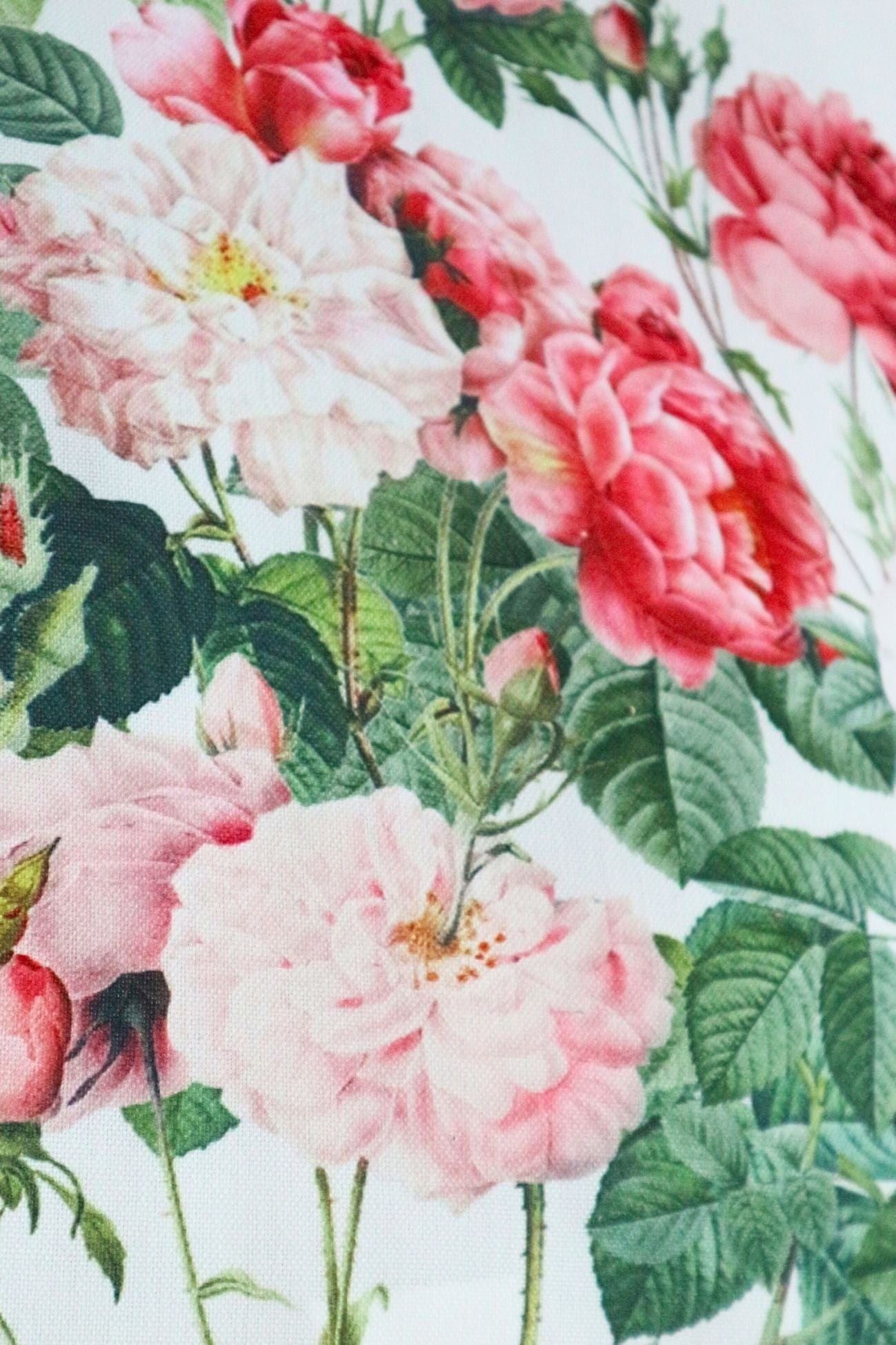 Blanc MariClo' Giardino Mediceo Giardino Mediceo - Giardino Mediceo - Cuscino arredo imbottito floreale | Blanc MariClo'