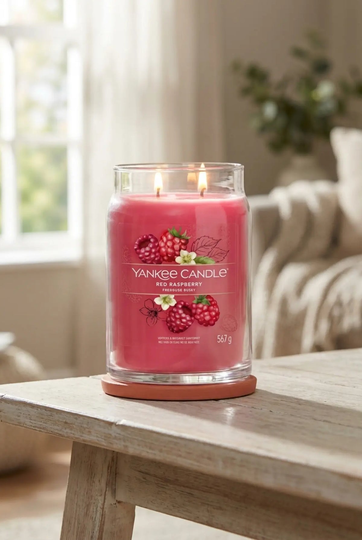 palmenwedel Palmen24 ☀ künstliche Palme XXL ☀ echte Frank D48 Round Pink