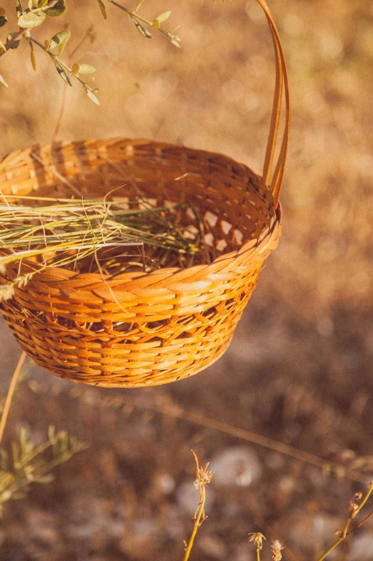 Éloge Kiyim Cestino porta pranzo con manico