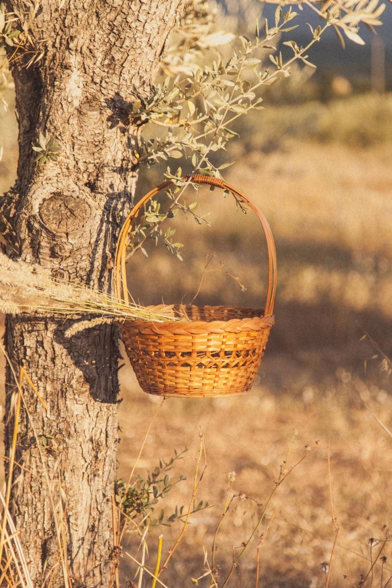 Éloge Kiyim Cestino porta pranzo con manico