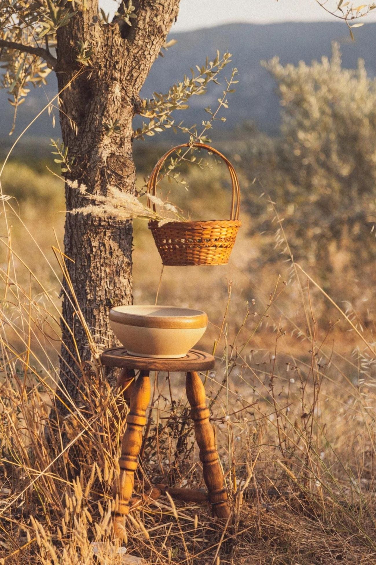 Éloge Kiyim Cestino porta pranzo con manico
