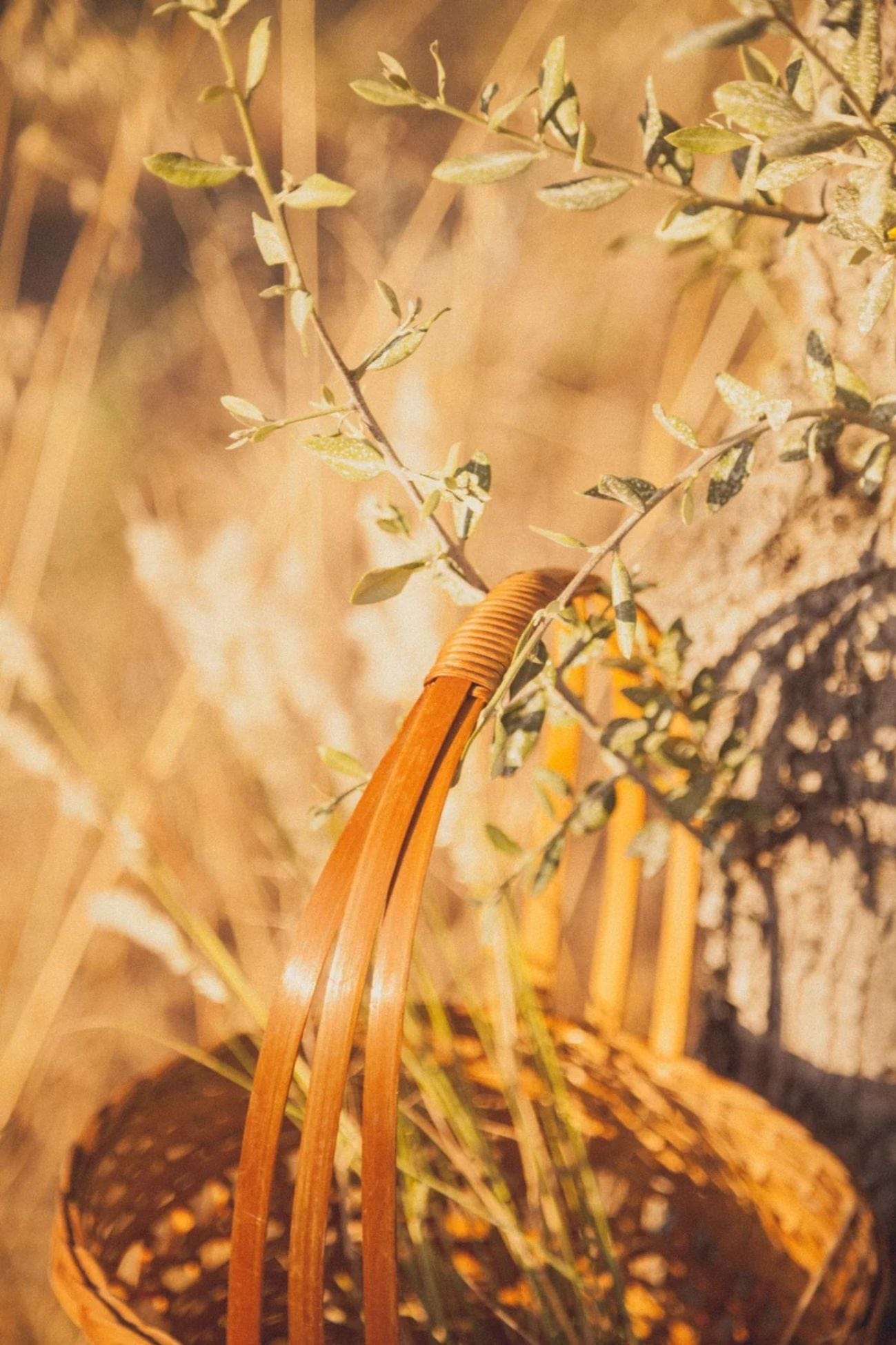 Éloge Kiyim Cestino porta pranzo con manico