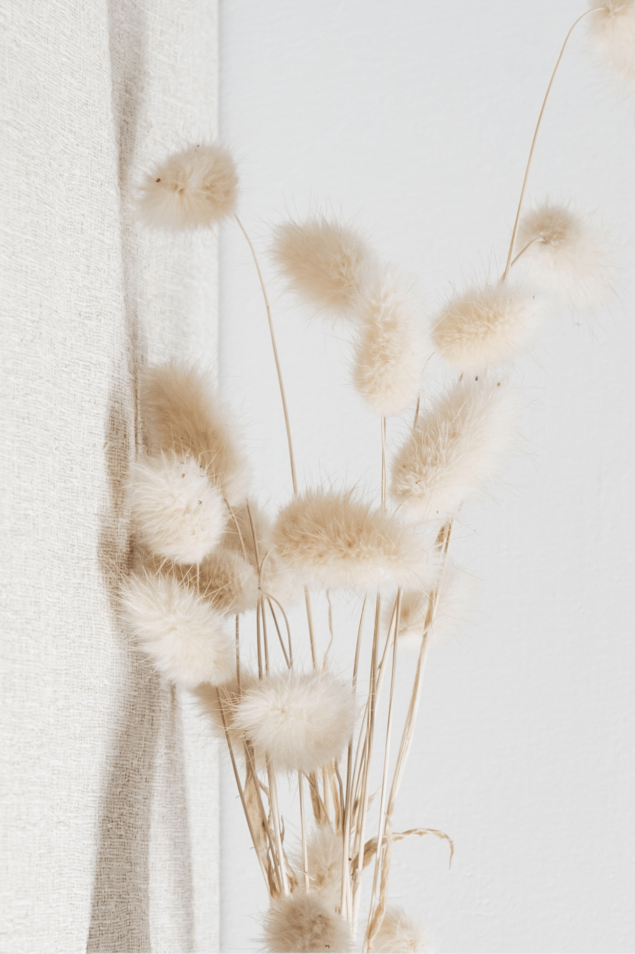 Item International Ivy Mazzo di fiori secchi