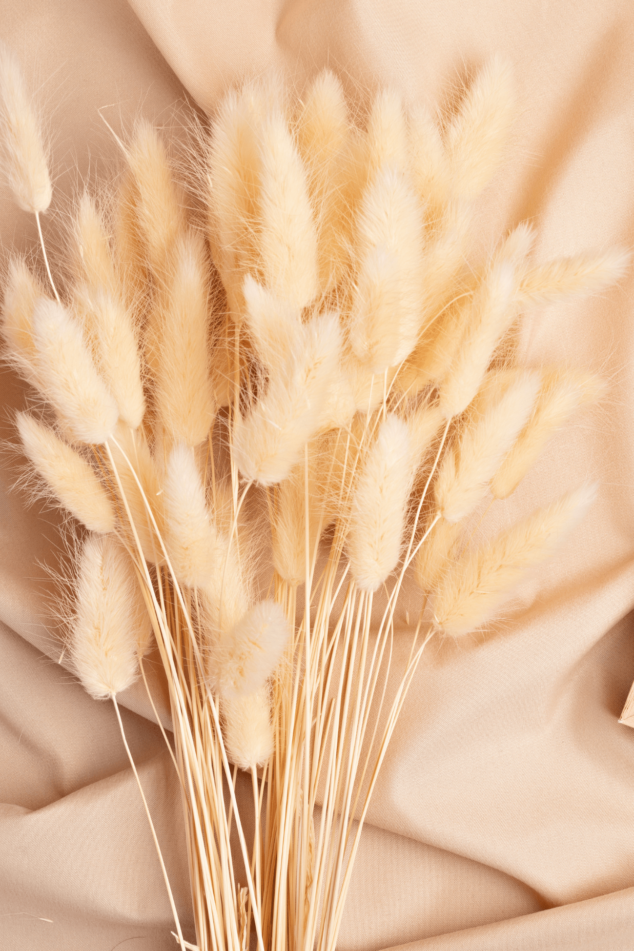 Item International Ivy Mazzo di fiori secchi