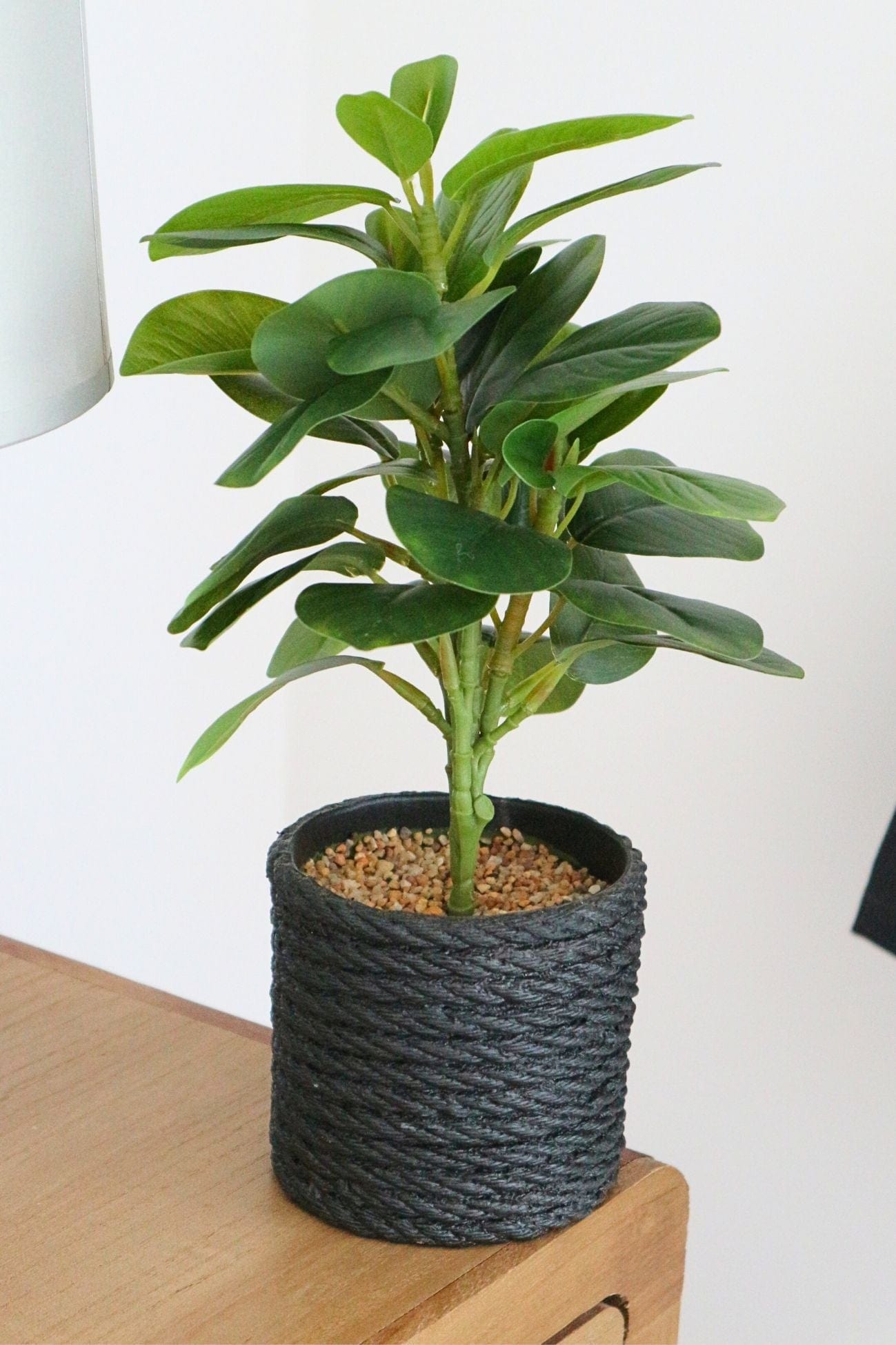 Item International Oliver Oliver - Piantina artificiale con vasetto nero in PVC | Item International