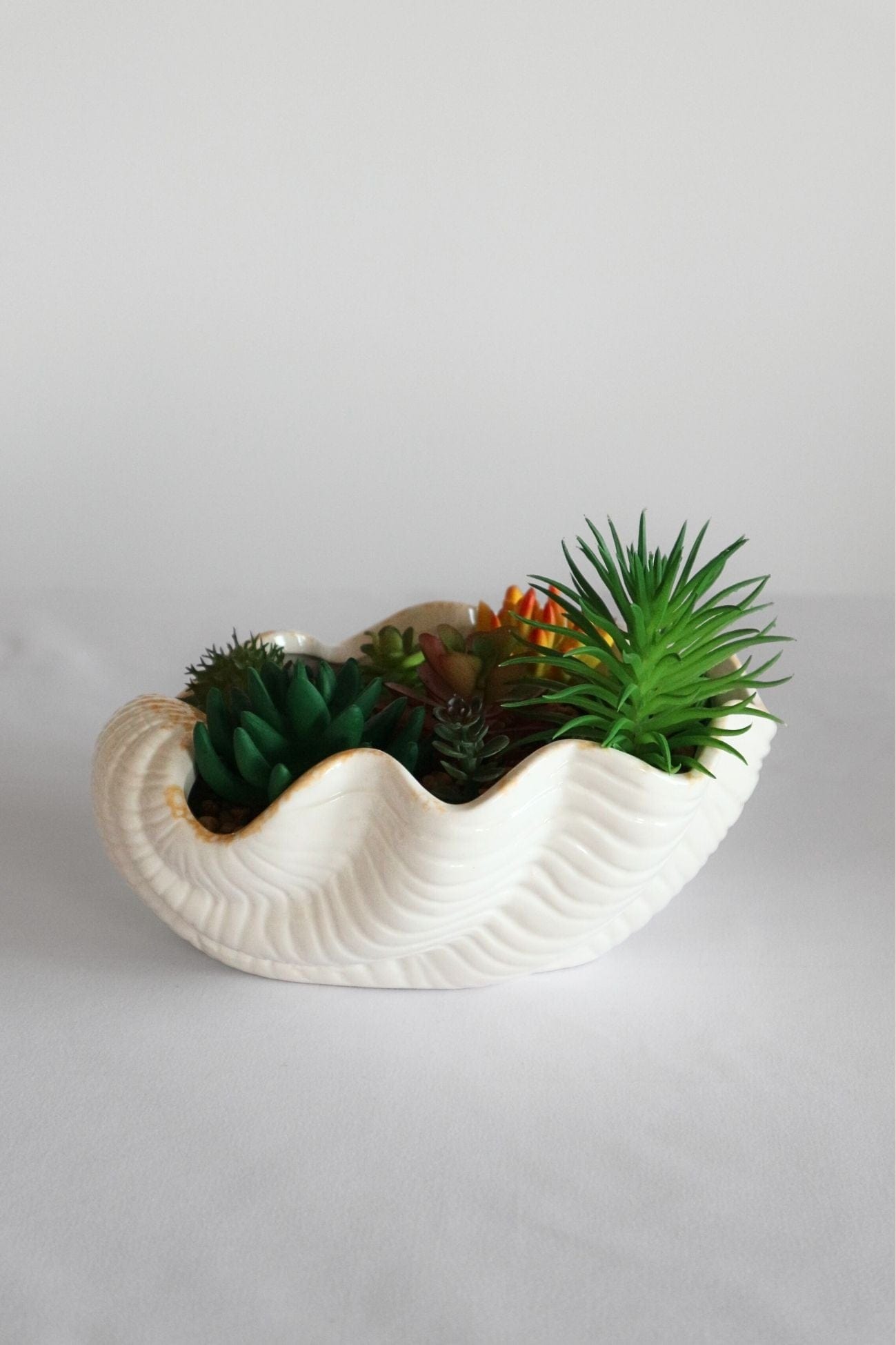 Item International Skal Skal - Piantina artificiale con vaso in ceramica a forma di conchiglia | Item International