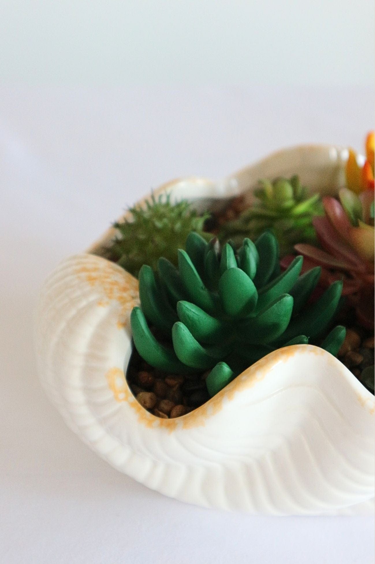 Item International Skal Skal - Piantina artificiale con vaso in ceramica a forma di conchiglia | Item International