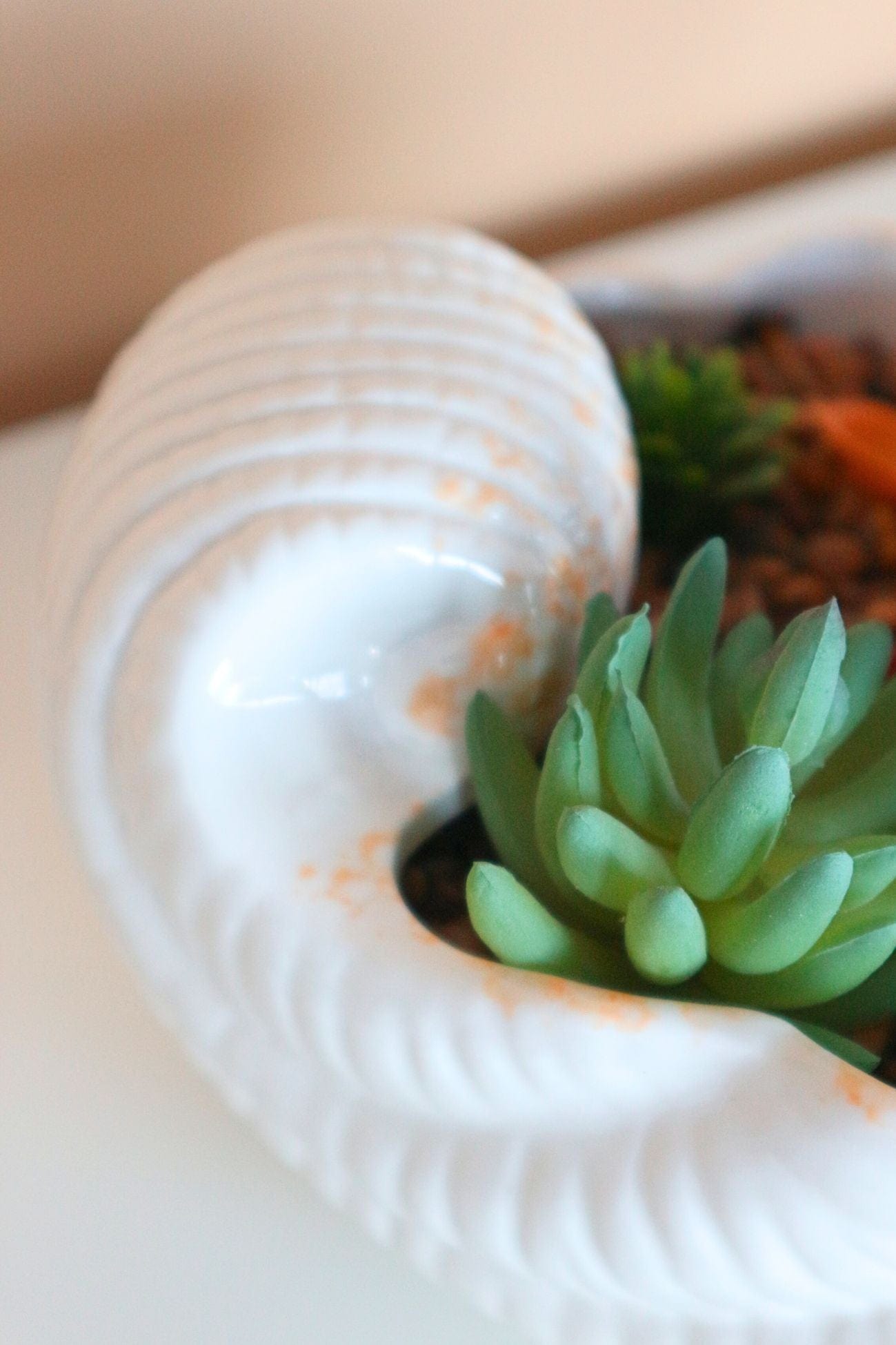 Item International Skal Skal - Piantina artificiale con vaso in ceramica a forma di conchiglia | Item International