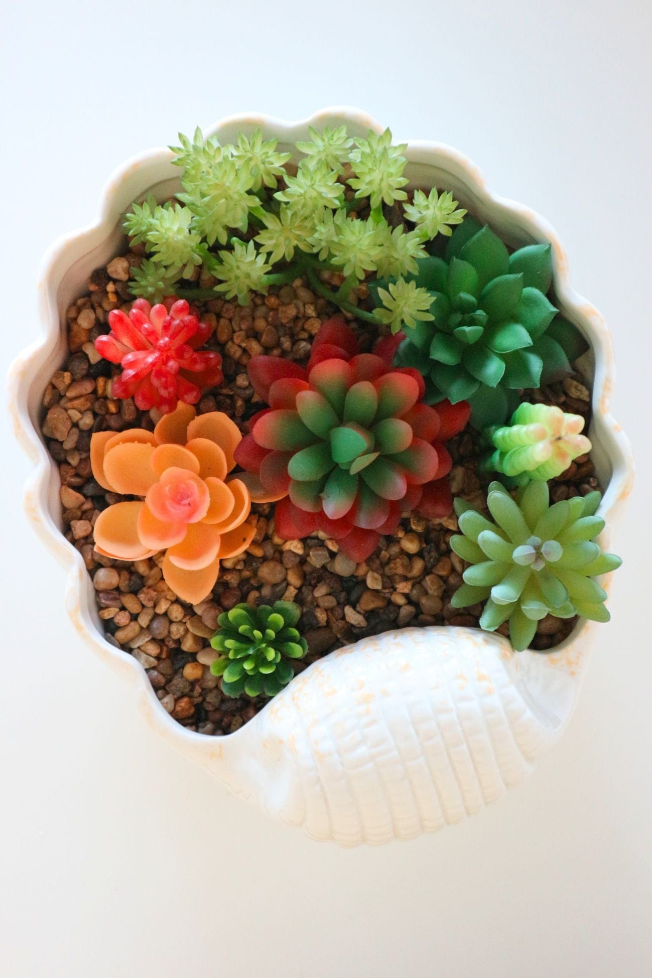 Item International Skal Skal - Piantina artificiale con vaso in ceramica a forma di conchiglia | Item International