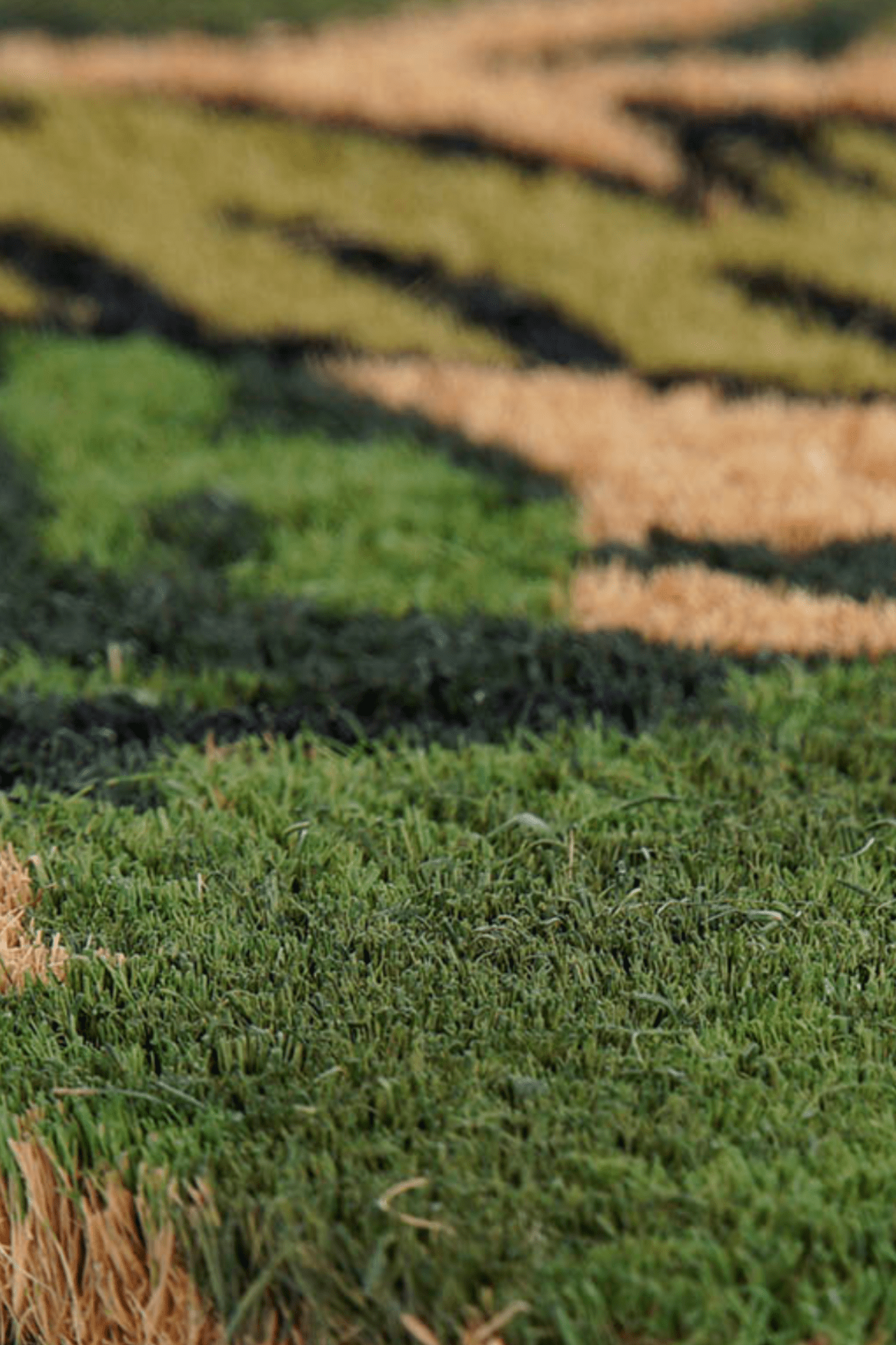 Item International Tasi Zerbino in fibra di cocco con foglie 60x40