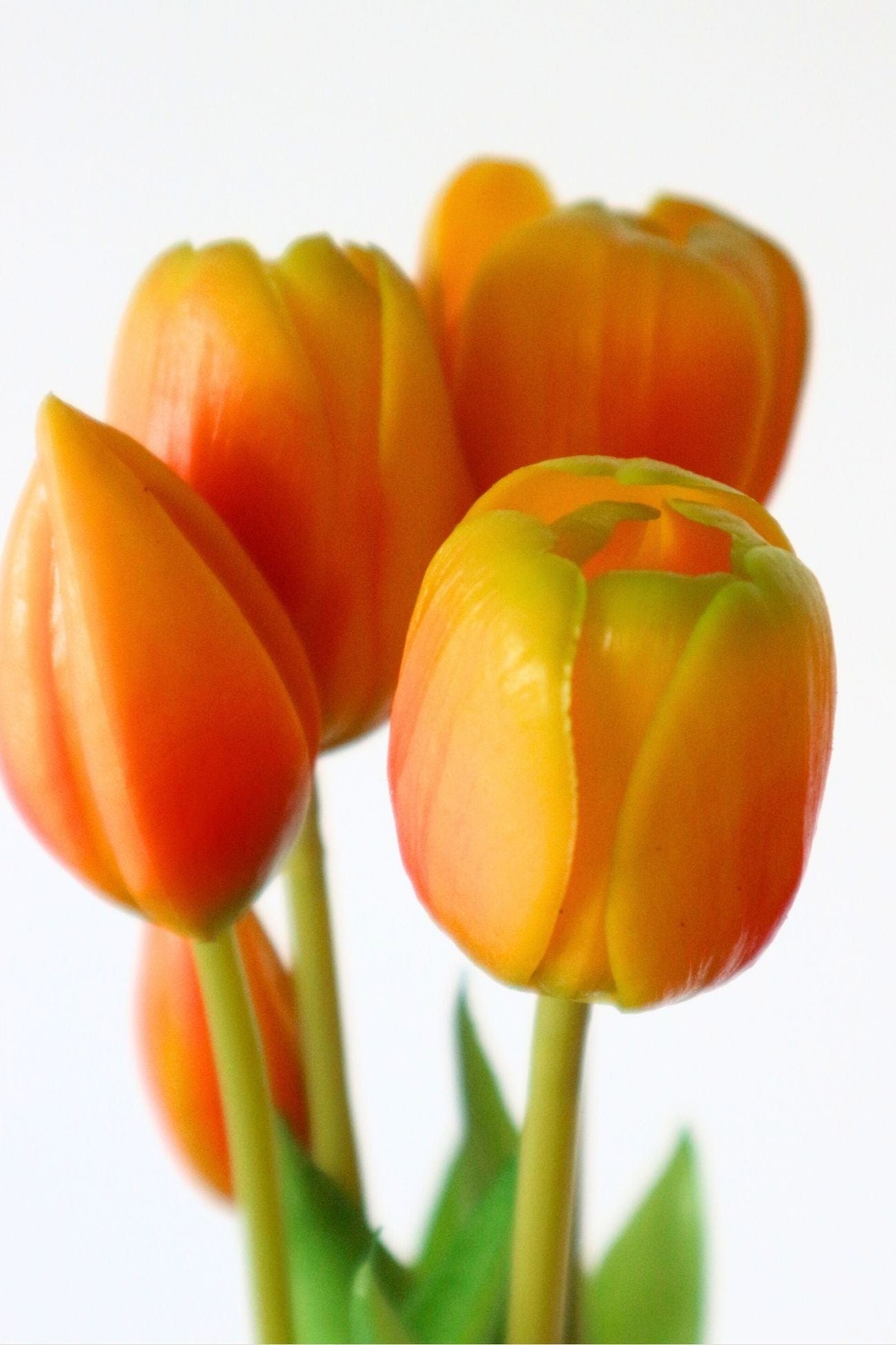 Jolipa Aletheia Aletheia - Mazzo di 5 tulipani artificiali color arancione 40 cm | Jolipa