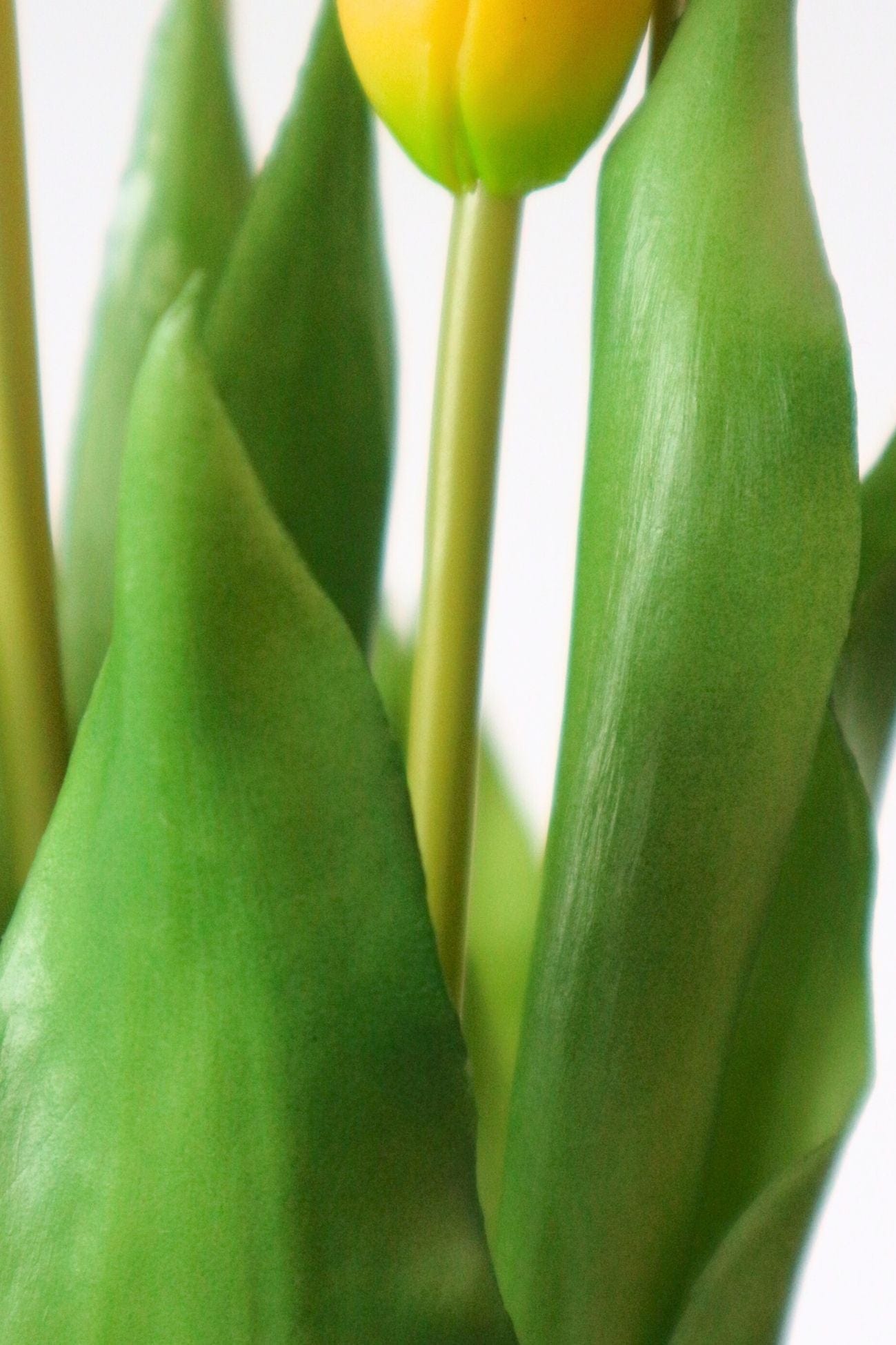 Jolipa Aletheia Aletheia - Mazzo di 5 tulipani artificiali color giallo 40 cm | Jolipa