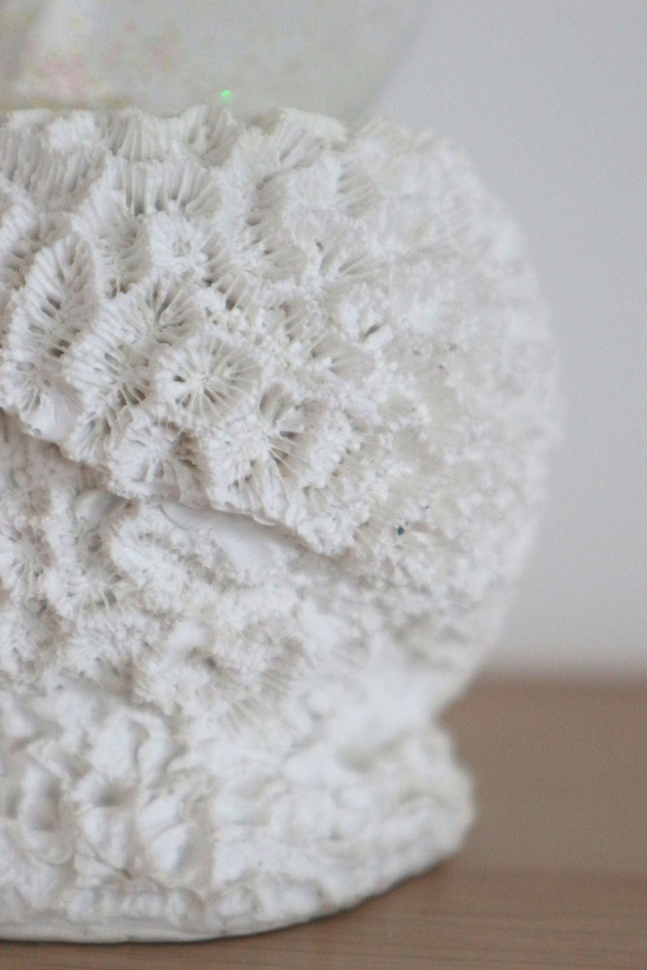 Jolipa Merita Merita - Palla di neve a tema marino fatta a mano | Jolipa