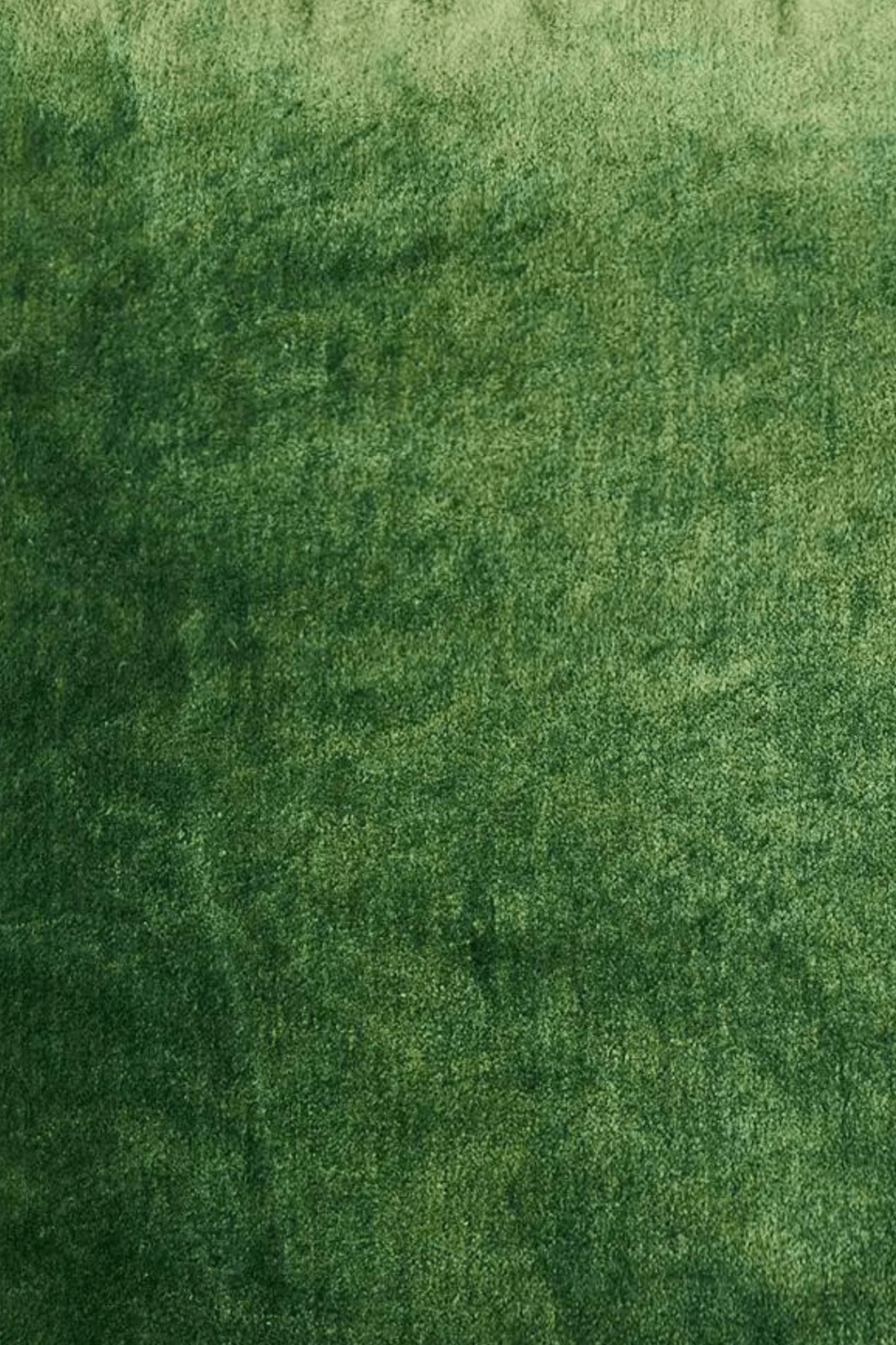 Novità Home Velvet Cuscino arredo in velluto di cotone verde