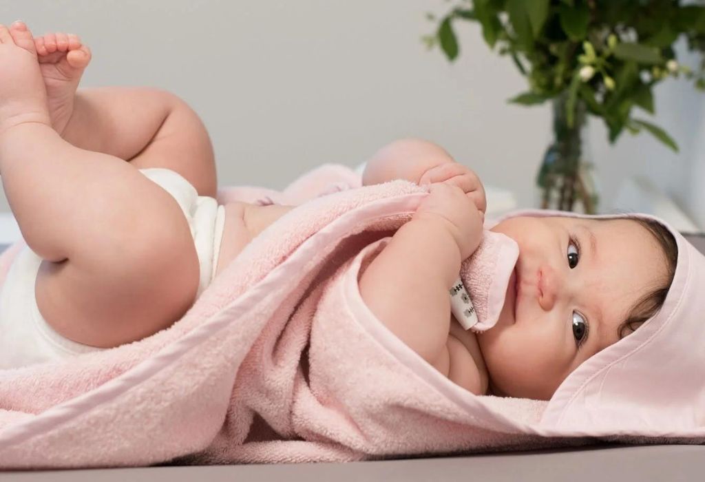 summerville organic scheda 2