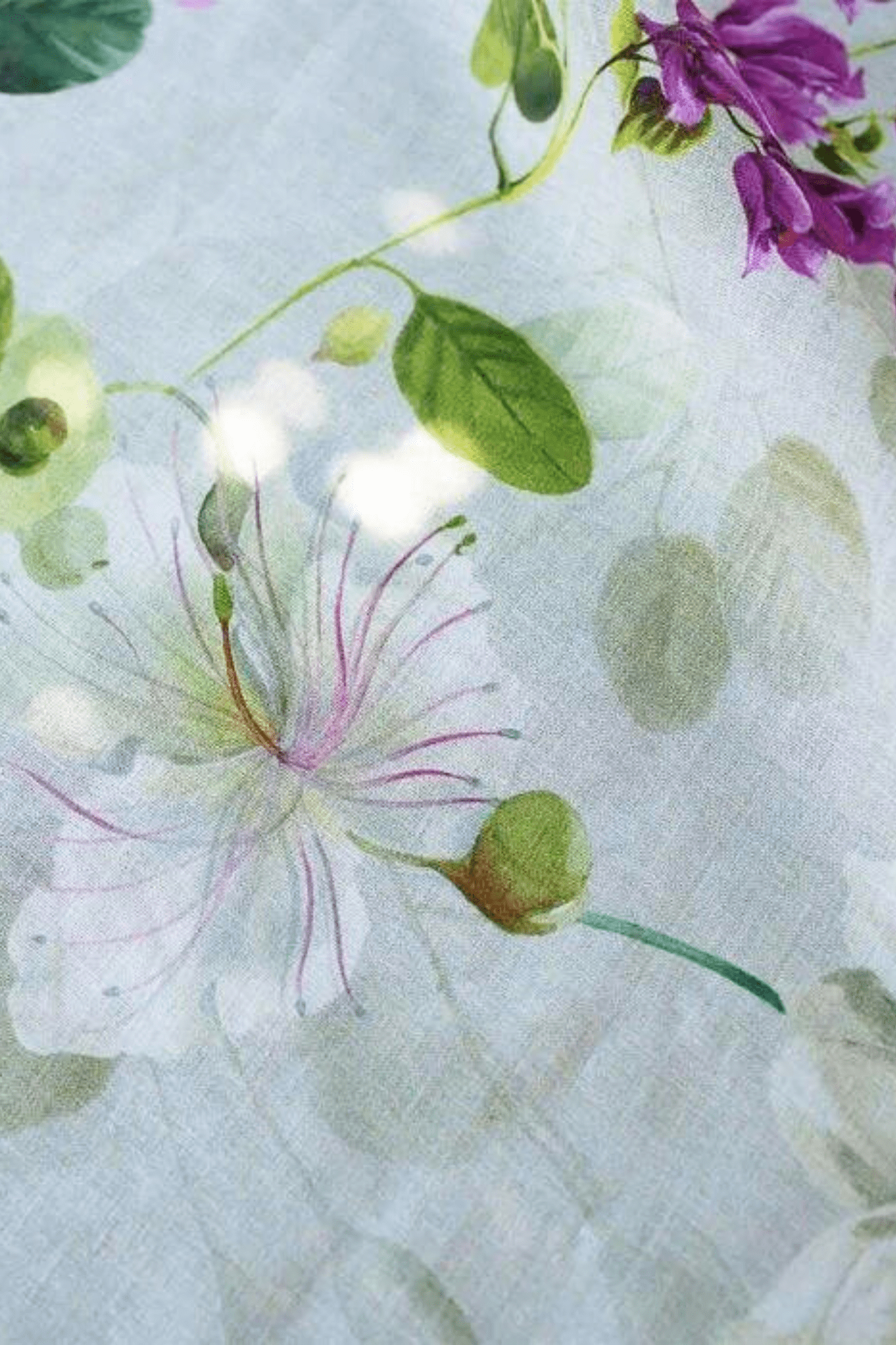 Tessitura Toscana Telerie Biscondola Biscondola - Tovaglia in cotone con orlo semplice varie misure | Tessitura Toscana Telerie