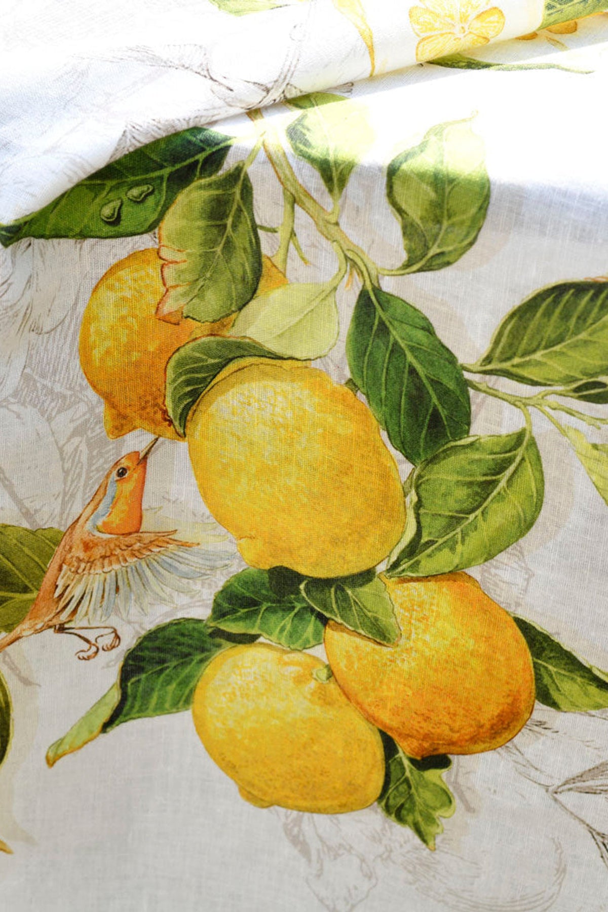 Limoncello Runner