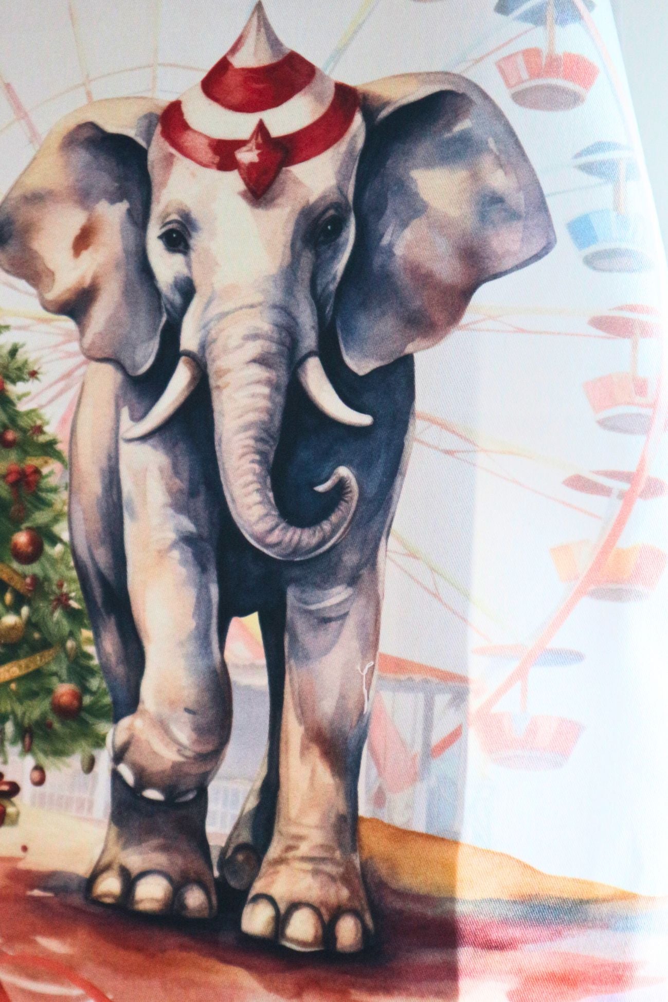 Circus