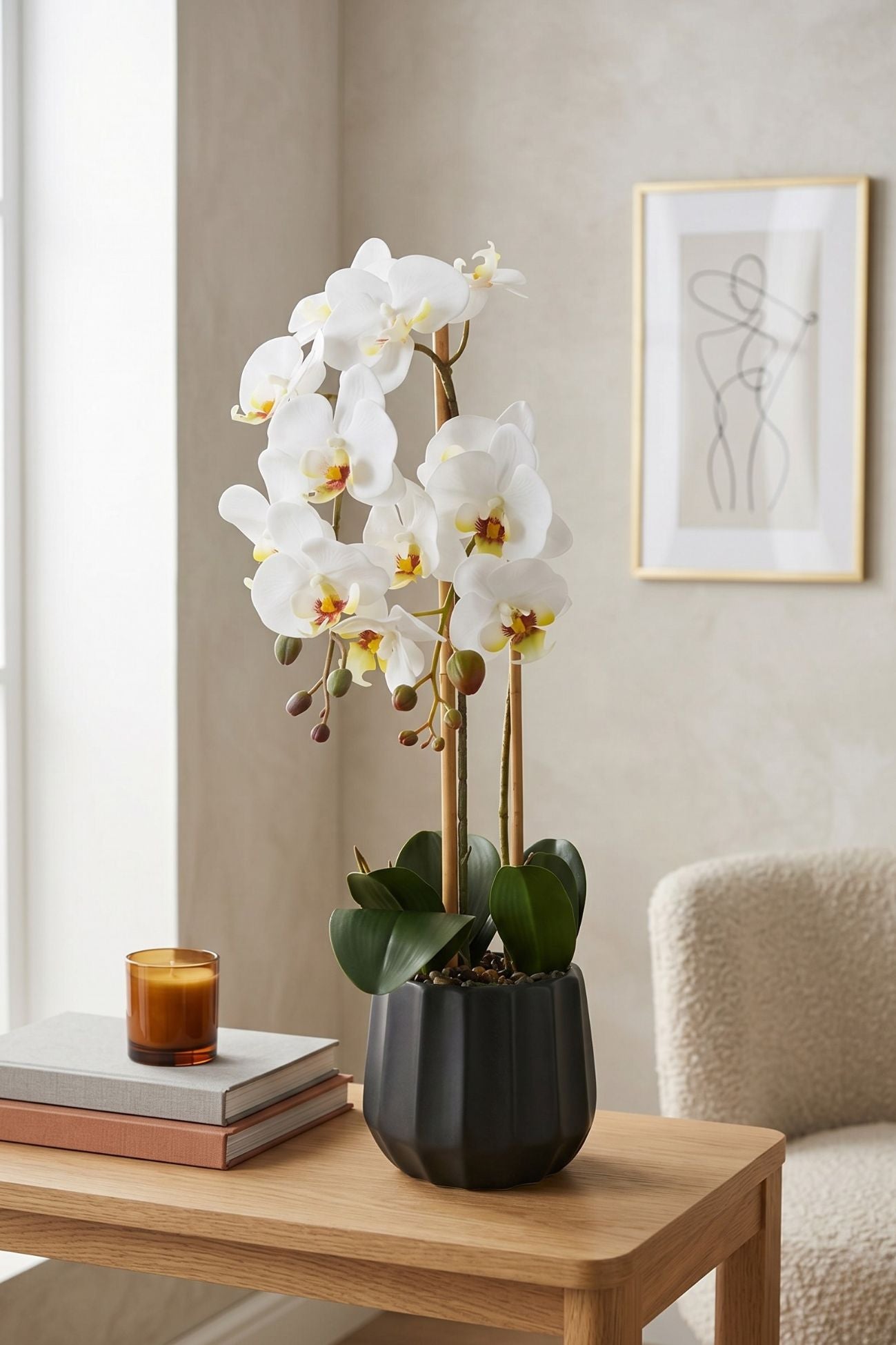 Flowers Orchidea