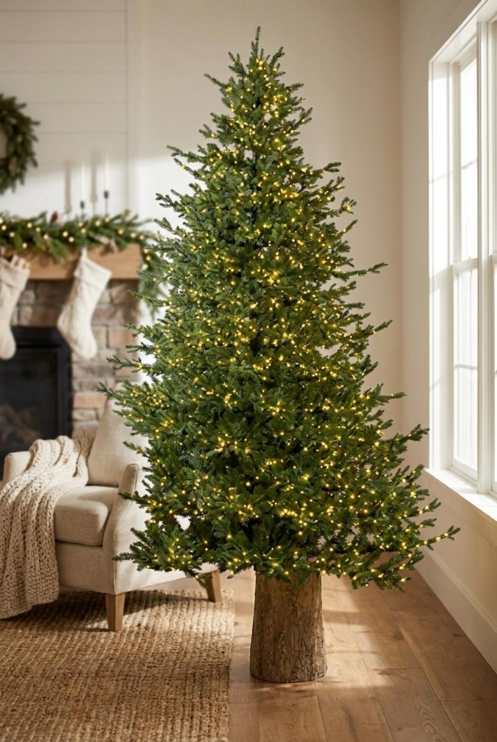 Pino Lucciole Albero di Natale