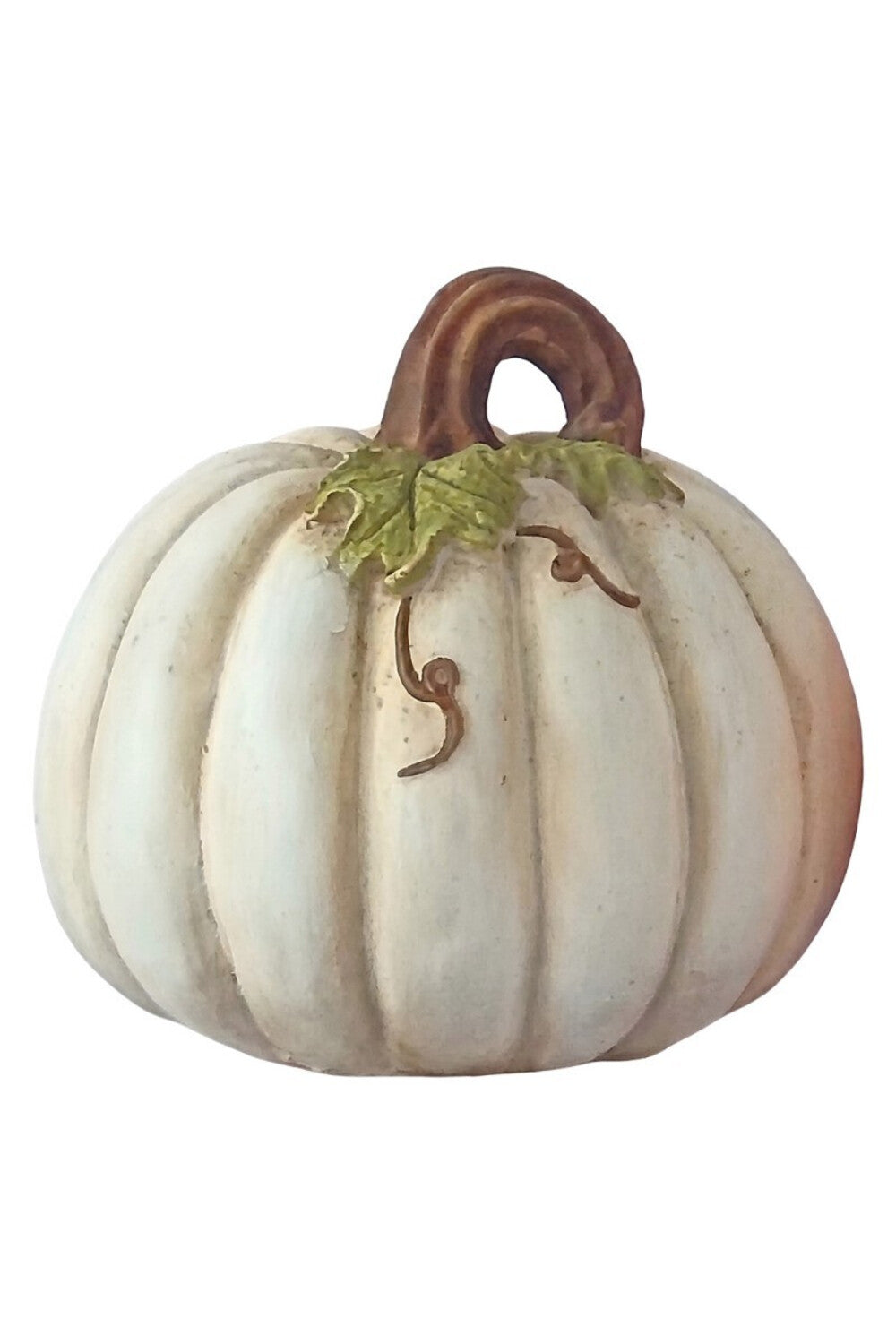 Pumpkin Patch Zucca Bianca