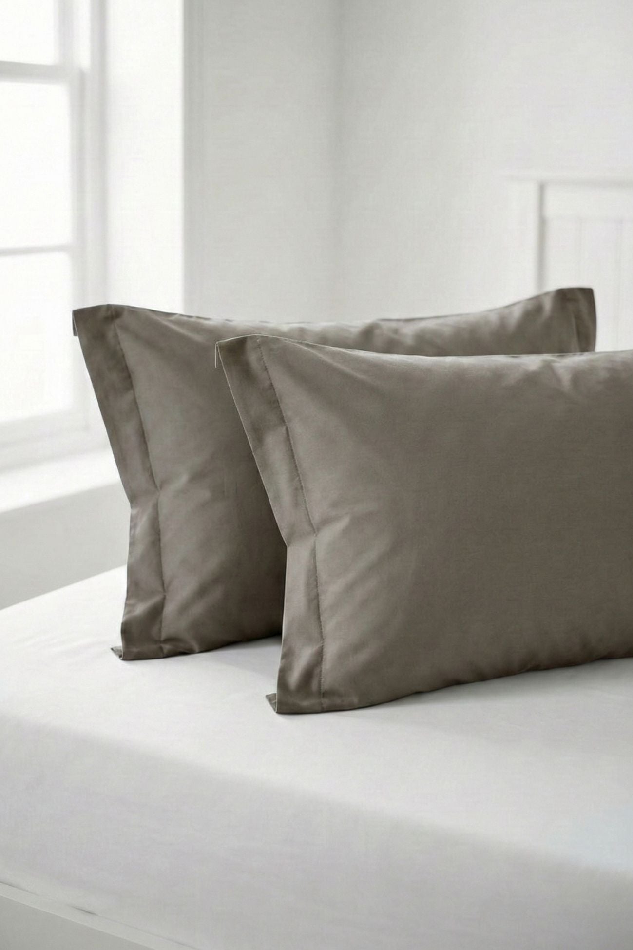 Sugar Federe Tortora