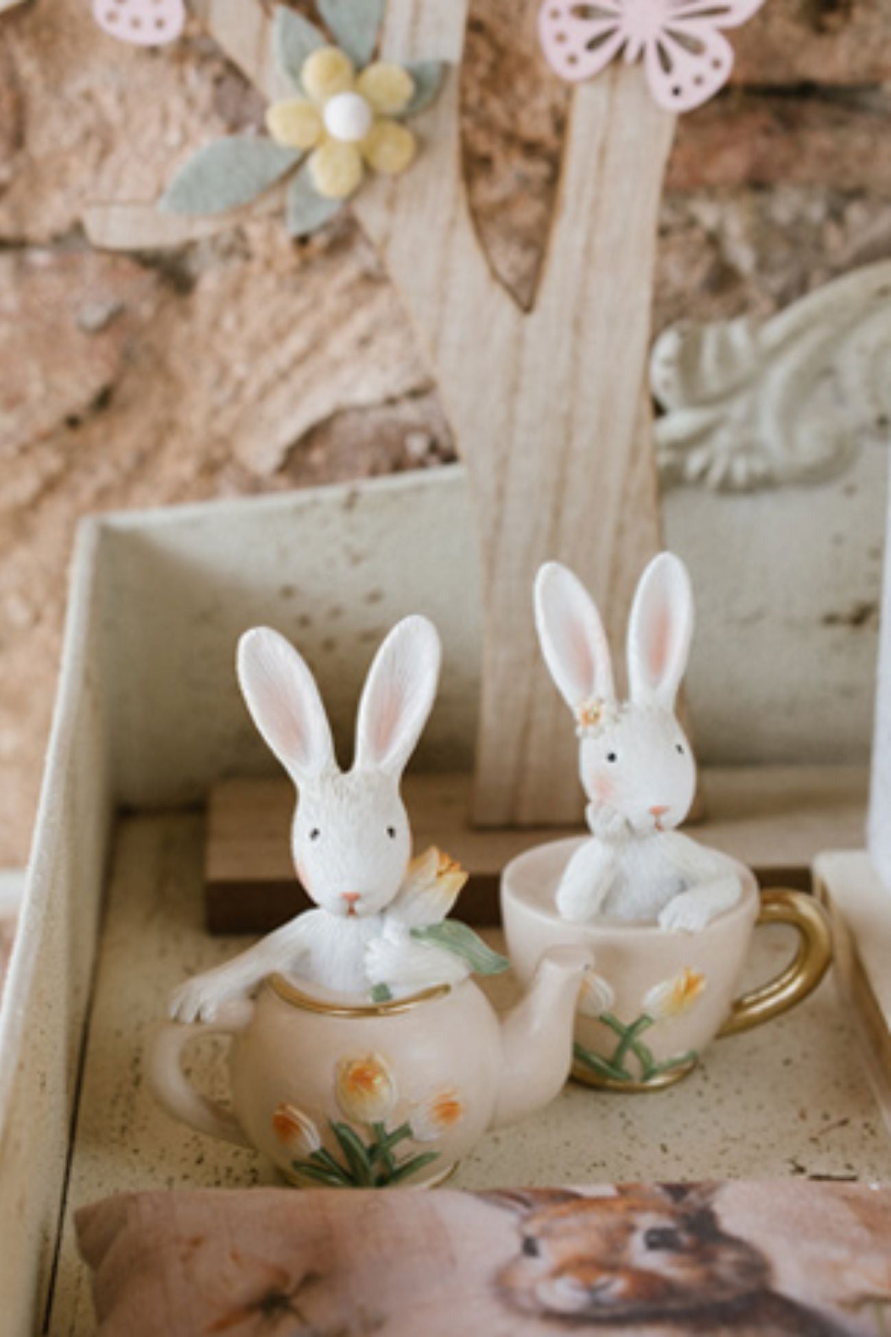 Pepen Coniglio in Tazzina