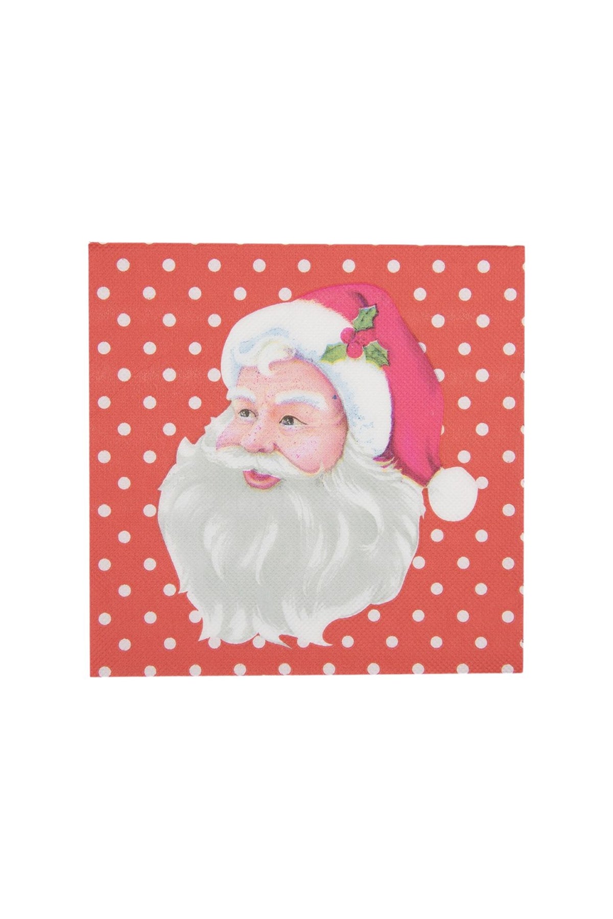 Santa Claus Paper Napkins