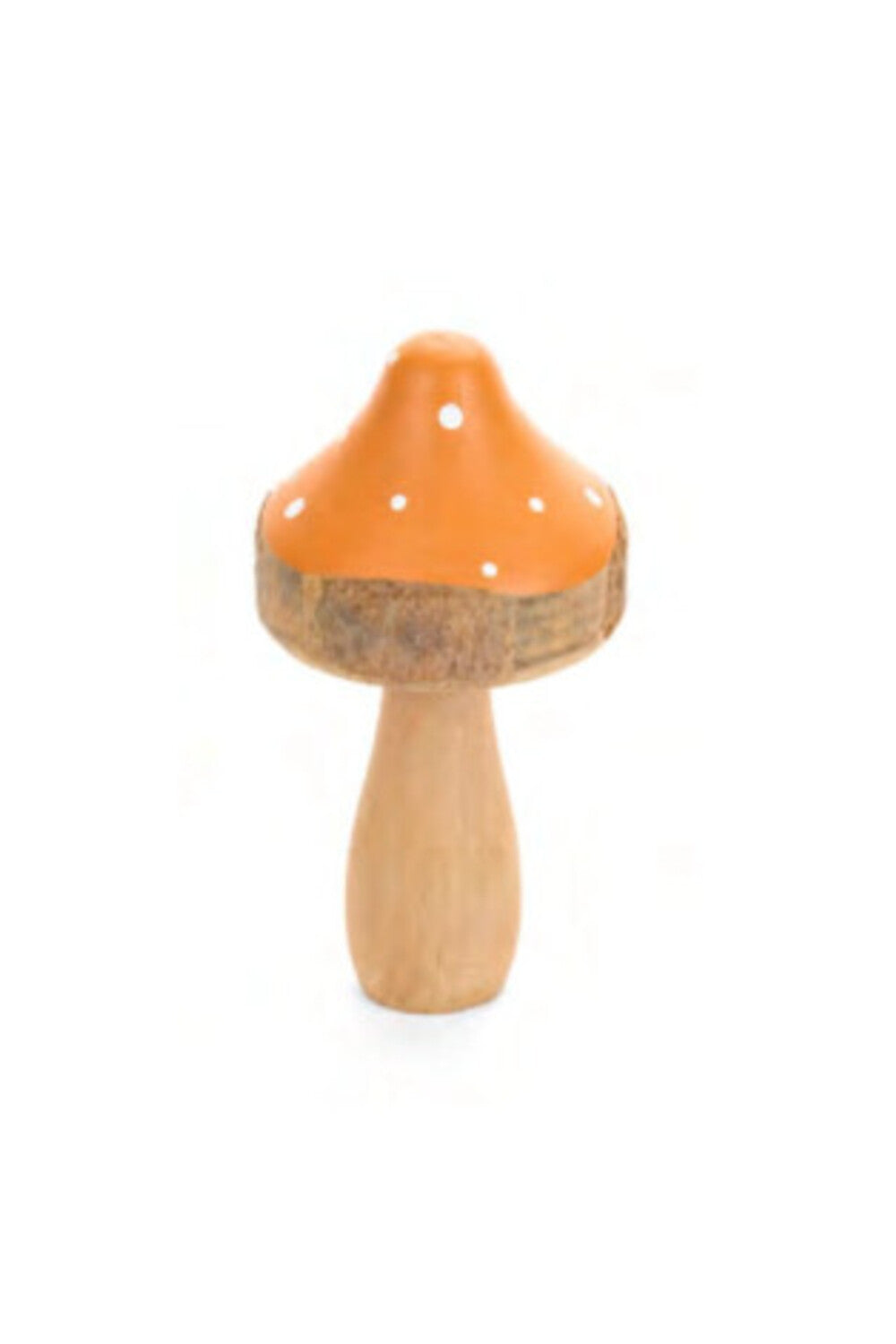 Racconti D'Autunno Fungo Arancione