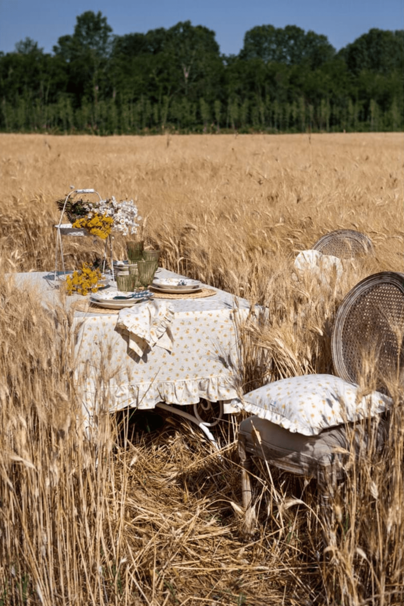 Blanc MariClo' Floret Full Floret Full - Tovaglia floreale in cotone ocra con gala - 2 dimensioni