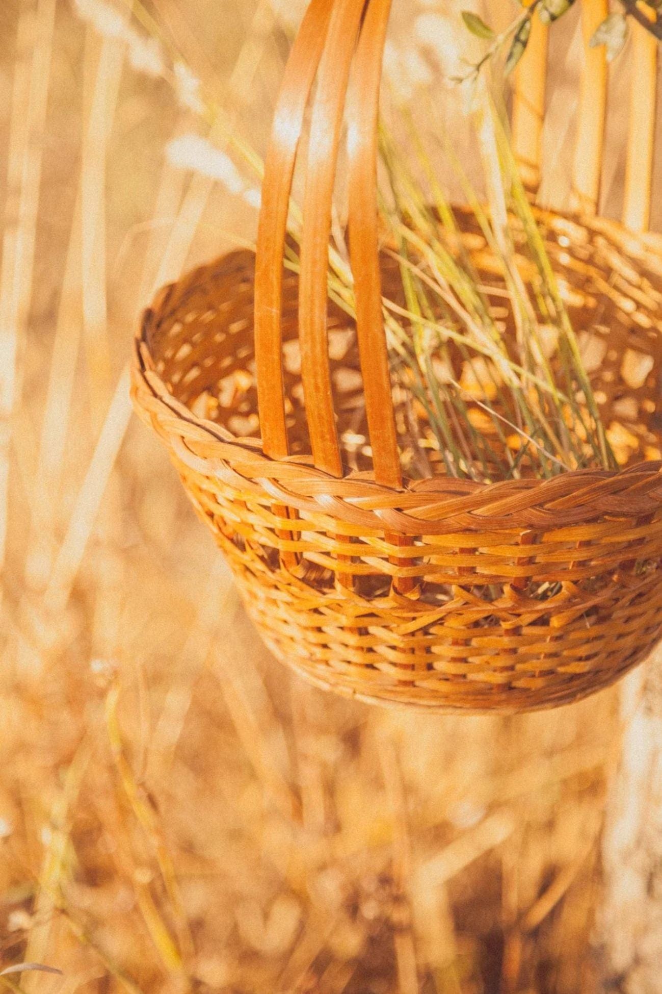 Éloge Kiyim Cestino porta pranzo con manico