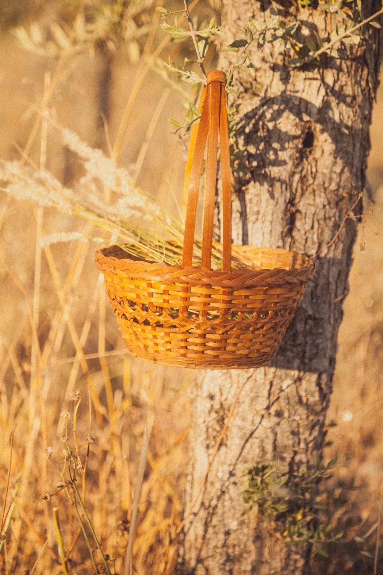 Éloge Kiyim Cestino porta pranzo con manico