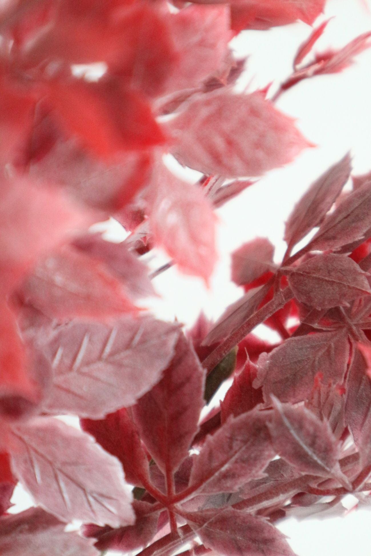 Item International Lyara Lyara - Mazzo di fiori artificiali fucsia | Item International