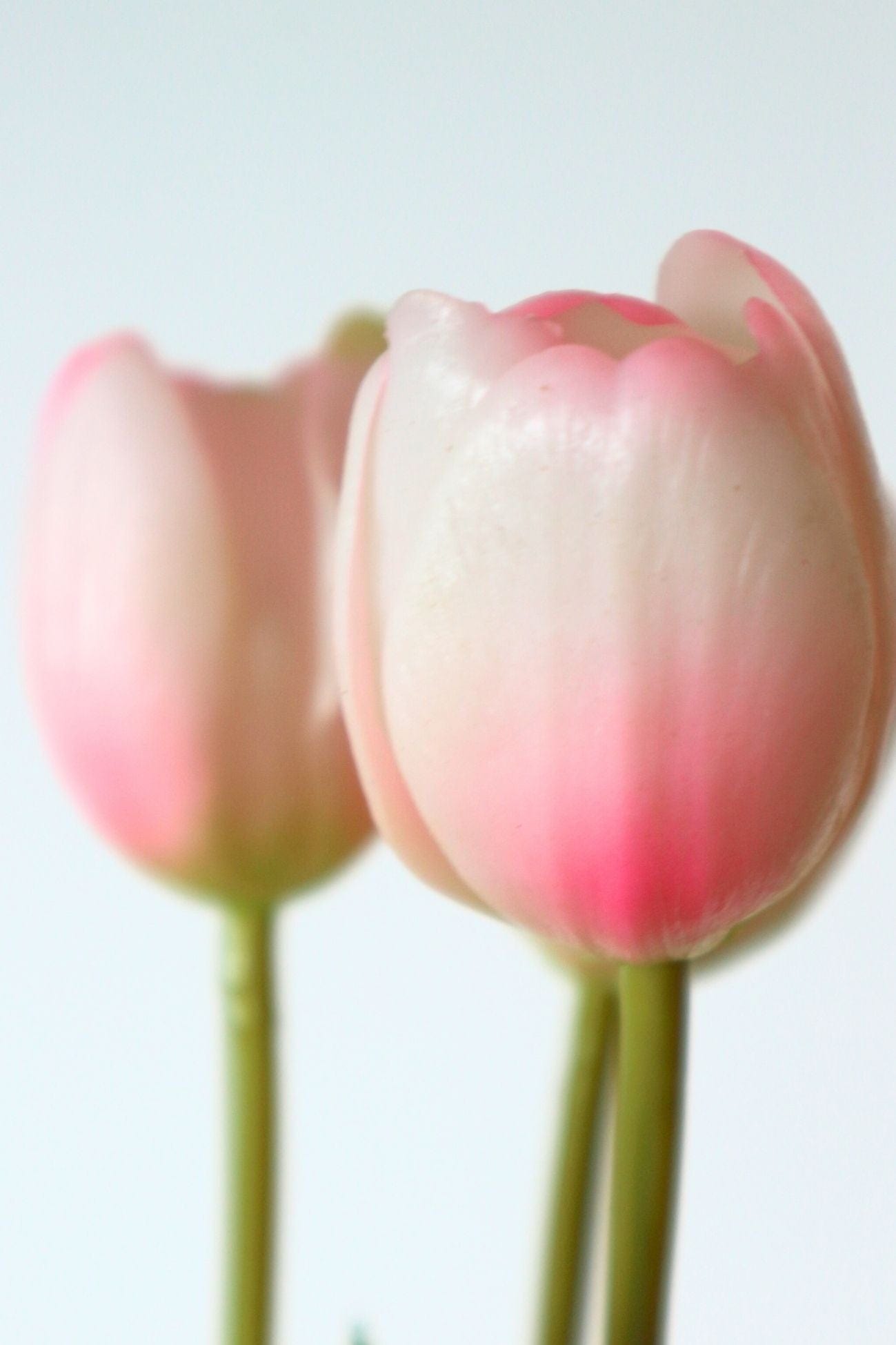 Jolipa Aletheia Aletheia - Mazzo di 5 tulipani artificiali color rosa 40 cm | Jolipa