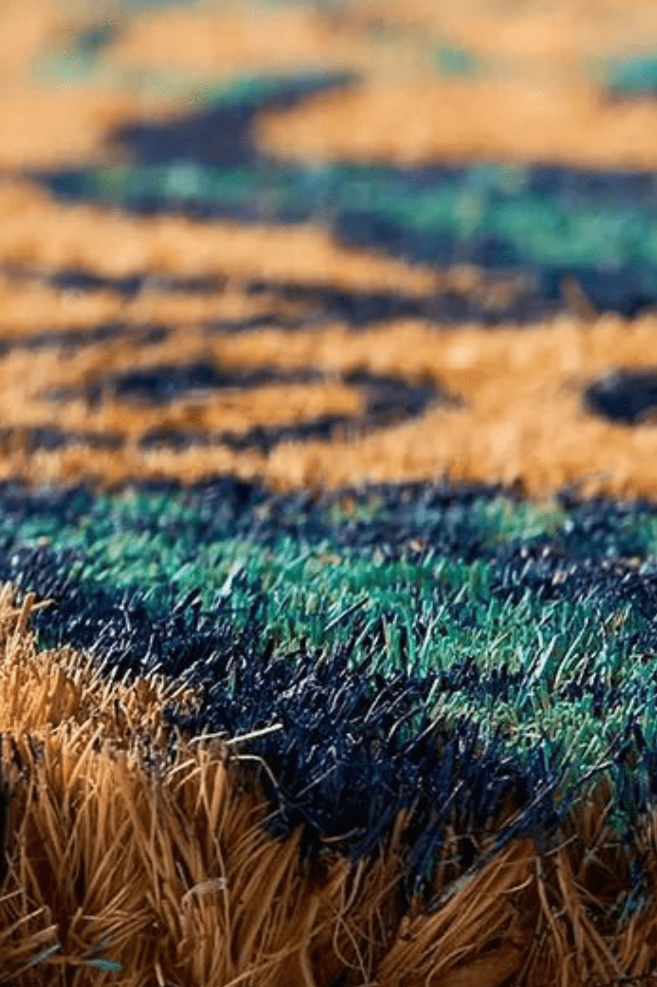 Novità Home Majori Zerbino con motivi floreali 60x40