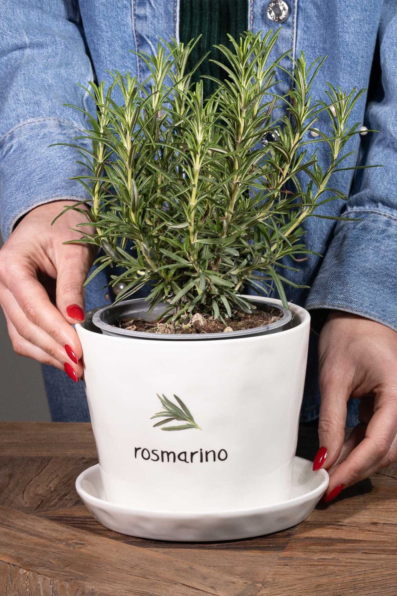 Simple Day Rosmarino Rosmarino - Portavaso e sottovaso in gres porcellanato Rosmarino | Simple Day