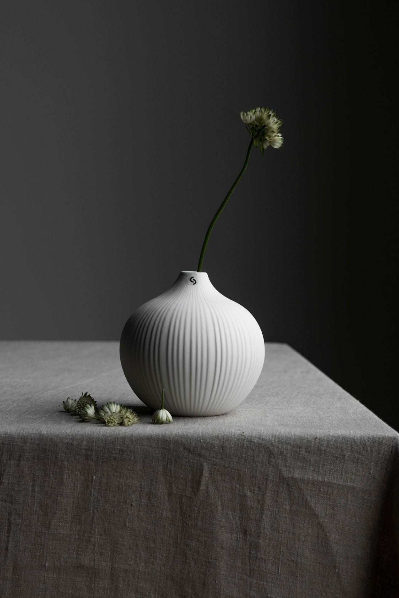 Storefactory Scandinavia Frobacken Frobacken - Vaso di design in ceramica opaca bianca in stile scandinavo | Storefactory Scandinavia