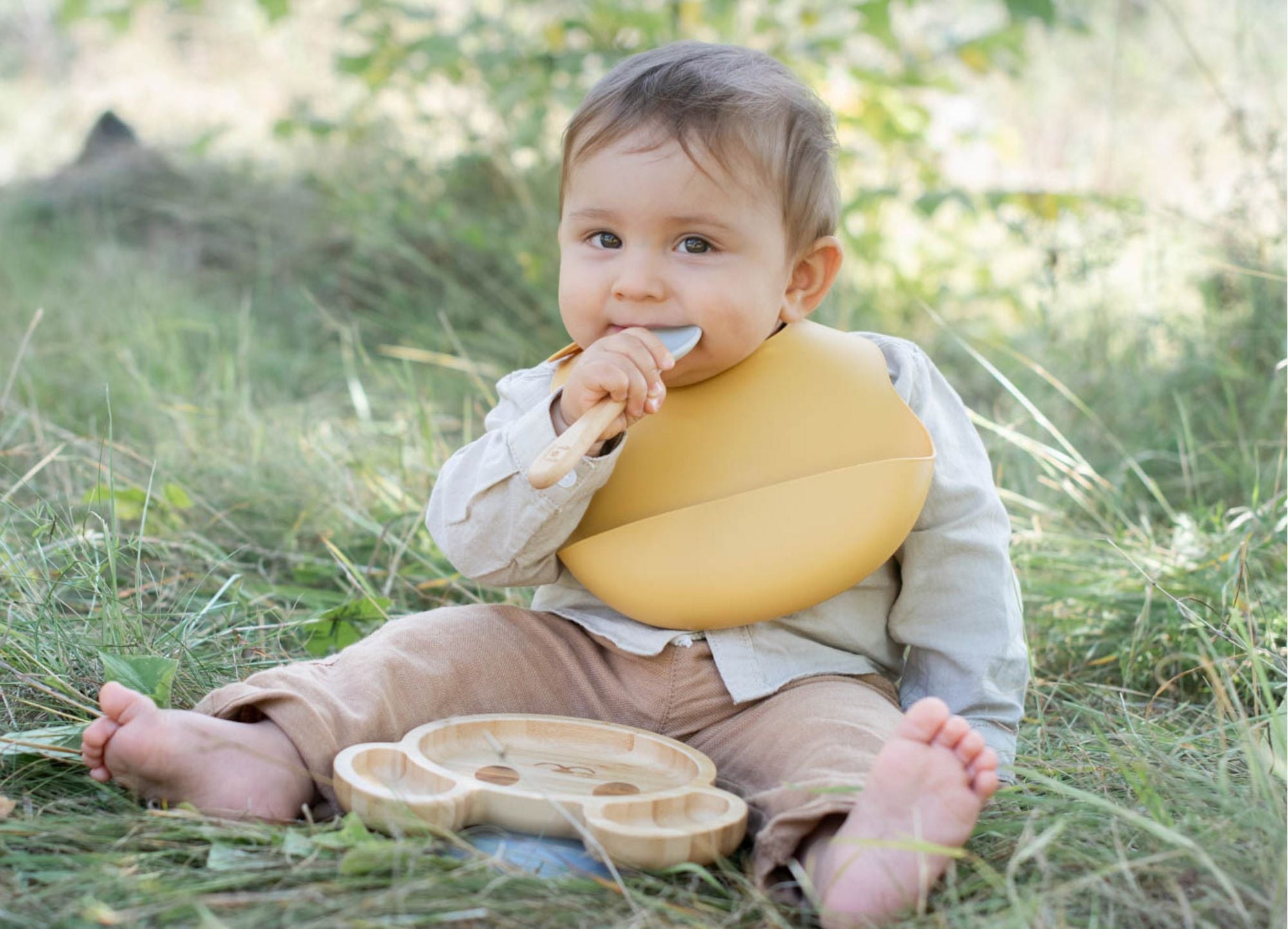 summerville organic banner desktop