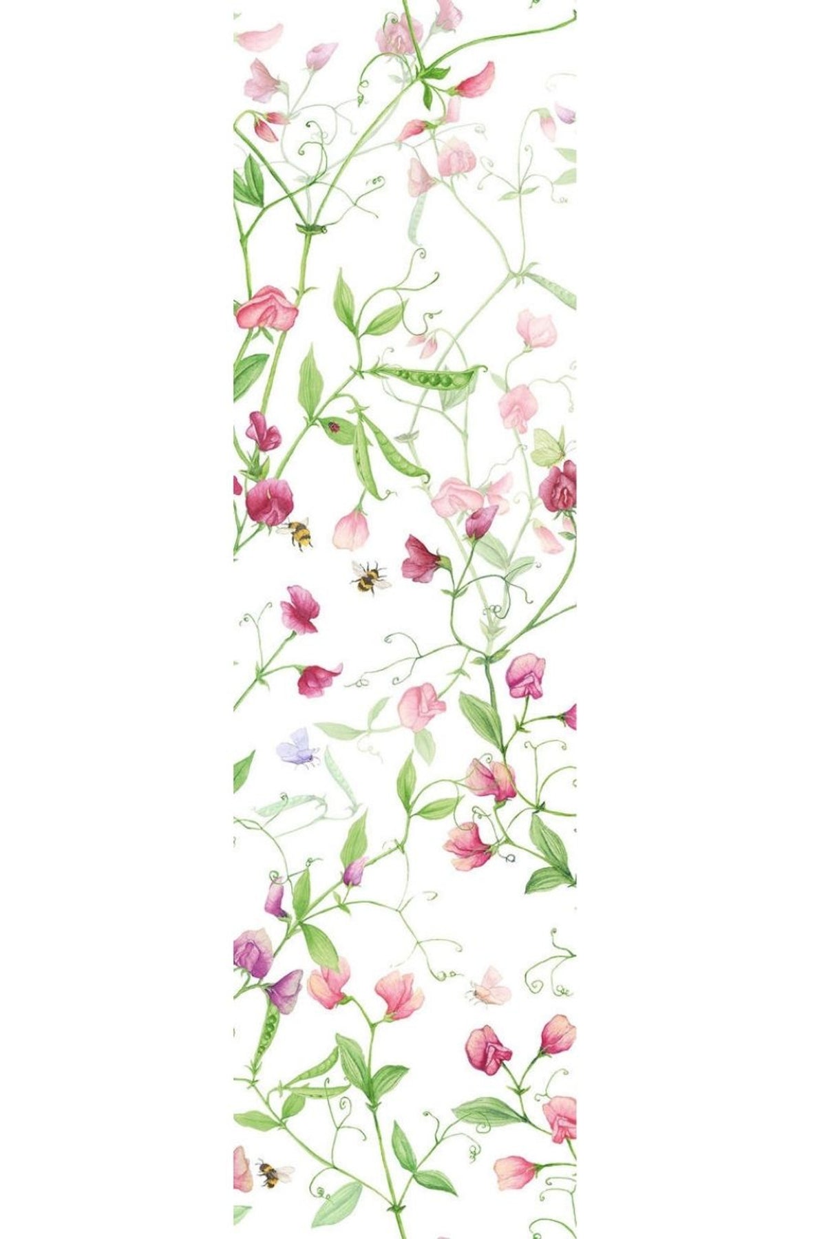 Petits Pois Runner